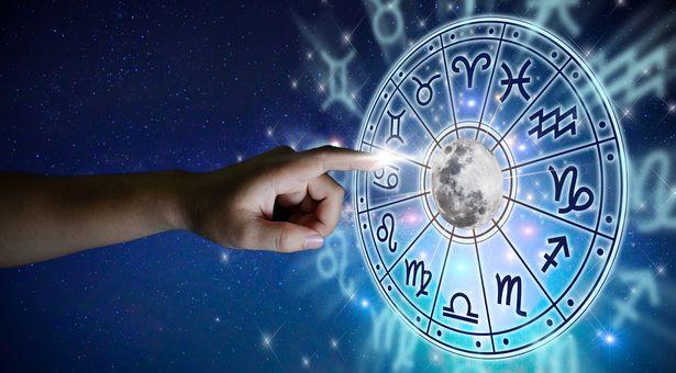 6月生肖猪运势解析（生肖猪今日运势解析）