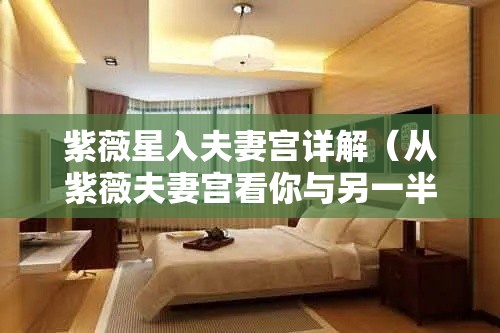紫薇星入夫妻宫详解（从紫薇夫妻宫看你与另一半的关系）