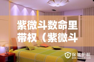 紫微斗数命里带权（紫微斗数命里带权）