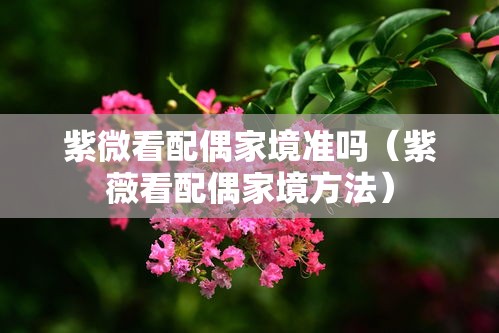 紫微看配偶家境准吗（紫薇看配偶家境方法）