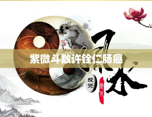 紫微斗数许铨仁肠癌