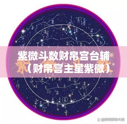紫微斗数财帛宫台辅（财帛宫主星紫微）
