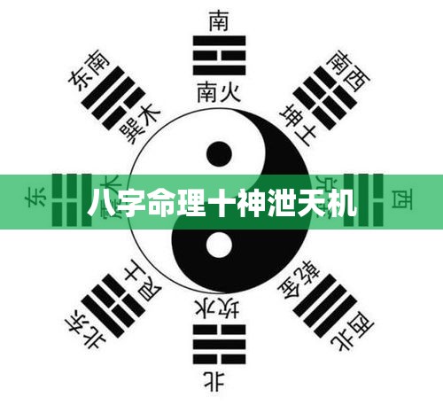 八字命理十神泄天机