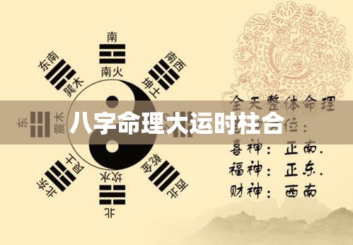 八字命理大运时柱合