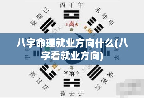 八字命理就业方向什么(八字看就业方向)