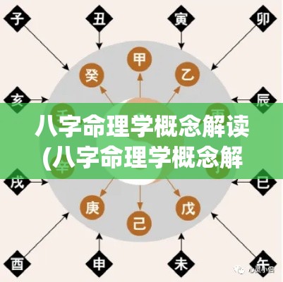 八字命理学概念解读(八字命理学概念解读大全)