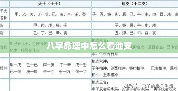 八字命理中怎么看地支