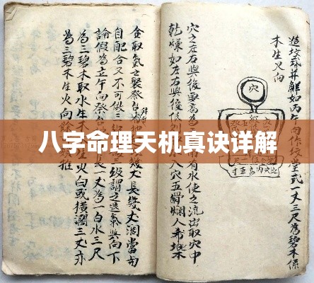 八字命理天机真诀详解