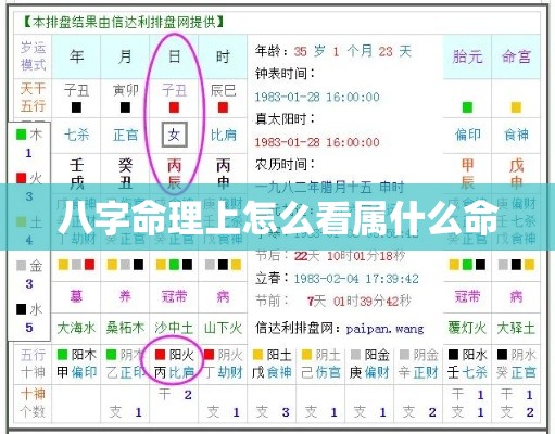 八字命理上怎么看属什么命