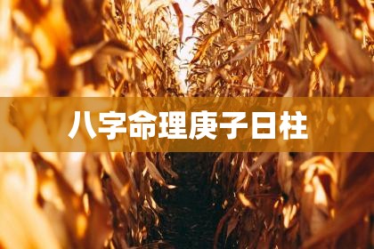 八字命理庚子日柱