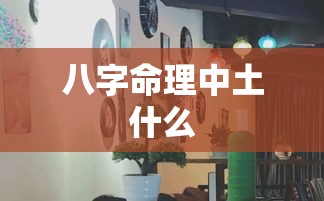 八字命理中土什么