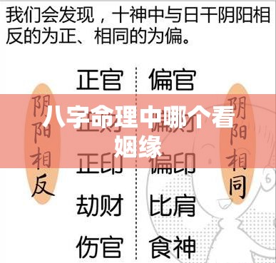 八字命理中哪个看姻缘