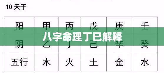 八字命理丁巳解释