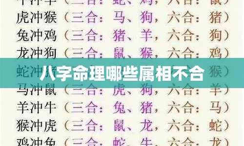 八字命理哪些属相不合