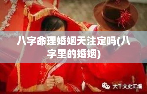 八字命理婚姻天注定吗(八字里的婚姻)