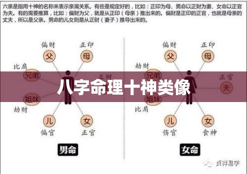 八字命理十神类像