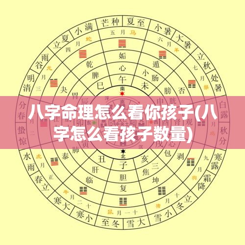 八字命理怎么看你孩子(八字怎么看孩子数量)
