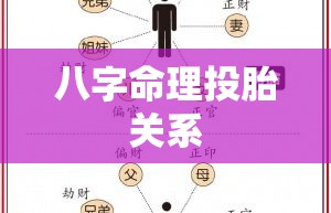 八字命理投胎关系