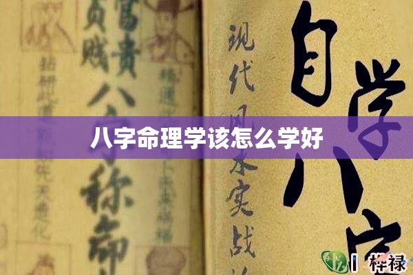 八字命理学该怎么学好