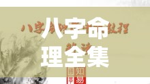 八字命理全集讲座大全详解