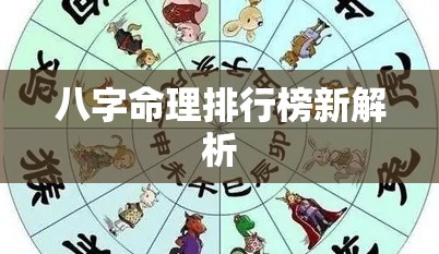 八字命理排行榜新解析