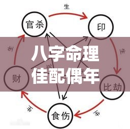八字命理佳配偶年龄段(从八字看配偶实例)