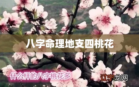 八字命理地支四桃花