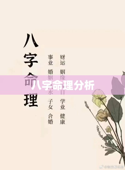 八字命理分析
