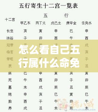 怎么看自己五行属什么命免费_怎么看自己的五行(咋看自己的五行)