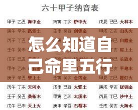 怎么知道自己命里五行属性_怎么知道自己命里五行属性(如何知道自己的命属五行)