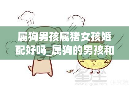 属狗男孩属猪女孩婚配好吗_属狗的男孩和属猪的女孩婚姻相配吗(属狗的男孩和属猪的女孩合适吗)