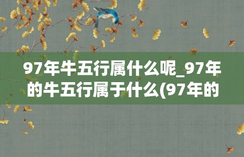 97年牛五行属什么呢_97年的牛五行属于什么(97年的牛五行属什么？)