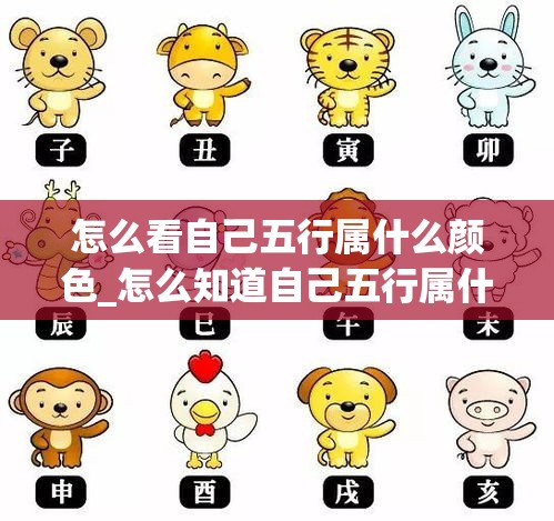 怎么看自己五行属什么颜色_怎么知道自己五行属什么颜色(怎么看你五行属什么)
