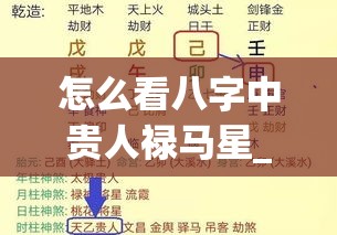 怎么看八字中贵人禄马星_怎么看八字中贵人禄马星(八字的禄马贵人)