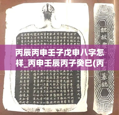 丙辰丙申壬子戊申八字怎样_丙申壬辰丙子癸巳(丙辰丙申丙午庚寅)