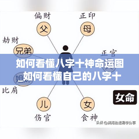 如何看懂八字十神命运图_如何看懂自己的八字十神关系(怎么根据八字看十神)
