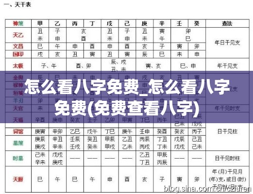 怎么看八字免费_怎么看八字免费(免费查看八字)