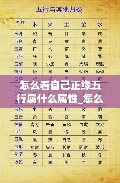 怎么看自己正缘五行属什么属性_怎么看自己的正缘来了(怎么查自己正缘)