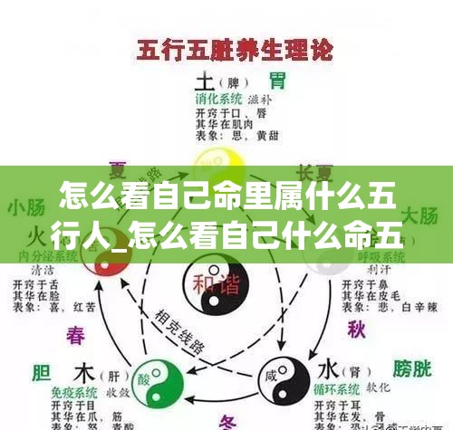 怎么看自己命里属什么五行人_怎么看自己什么命五行(怎样知道自己是什么命,五行属什么)