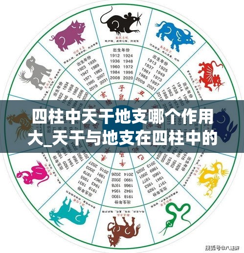 四柱中天干地支哪个作用大_天干与地支在四柱中的关系(八字中天干与地支的作用关系)