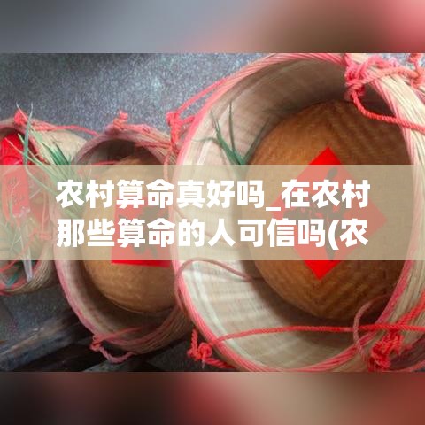 农村算命真好吗_在农村那些算命的人可信吗(农村里算命的可信吗)