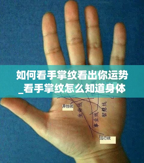 如何看手掌纹看出你运势_看手掌纹怎么知道身体的好坏(如何看懂手掌纹)