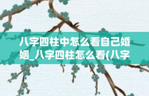 八字四柱中怎么看自己婚姻_八字四柱怎么看(八字四柱婚姻看哪一柱？)