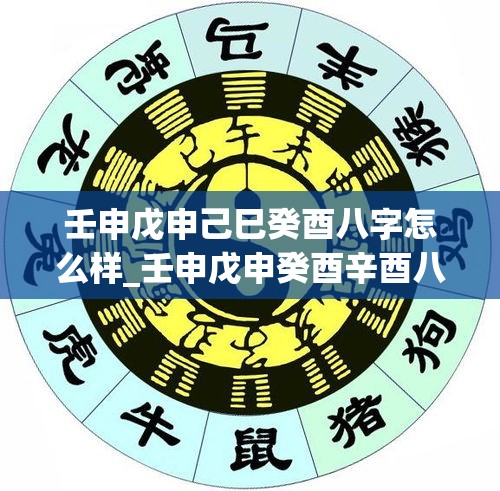 壬申戊申己巳癸酉八字怎么样_壬申戊申癸酉辛酉八字(壬申戊申癸未壬戌)
