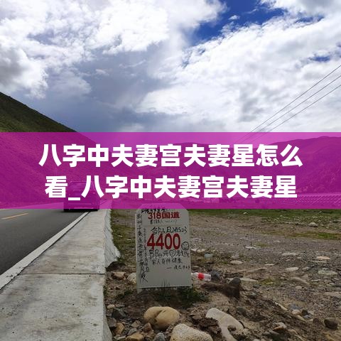 八字中夫妻宫夫妻星怎么看_八字中夫妻宫夫妻星怎么看(夫妻宫有什么星怎么看)