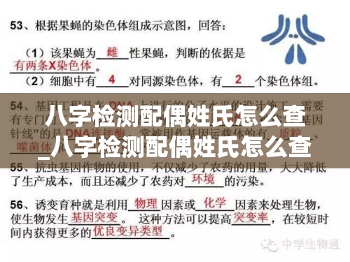 八字检测配偶姓氏怎么查_八字检测配偶姓氏怎么查询(八字测配偶信息)