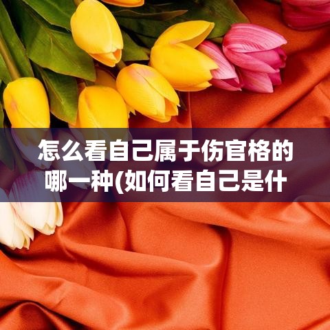 怎么看自己属于伤官格的哪一种(如何看自己是什么伤官)
