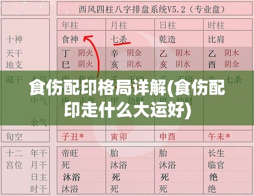 食伤配印格局详解(食伤配印走什么大运好)