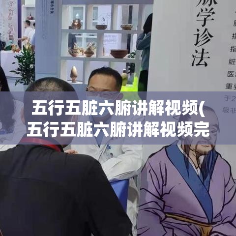 五行五脏六腑讲解视频(五行五脏六腑讲解视频完整版)