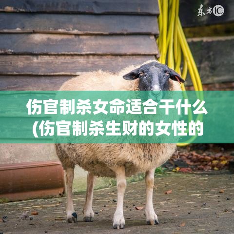 伤官制杀女命适合干什么(伤官制杀生财的女性的格局)
